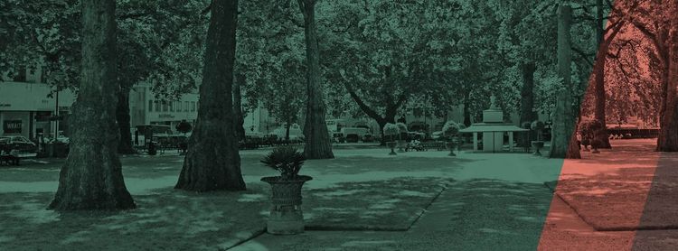 Market updates – Q2, 2020
